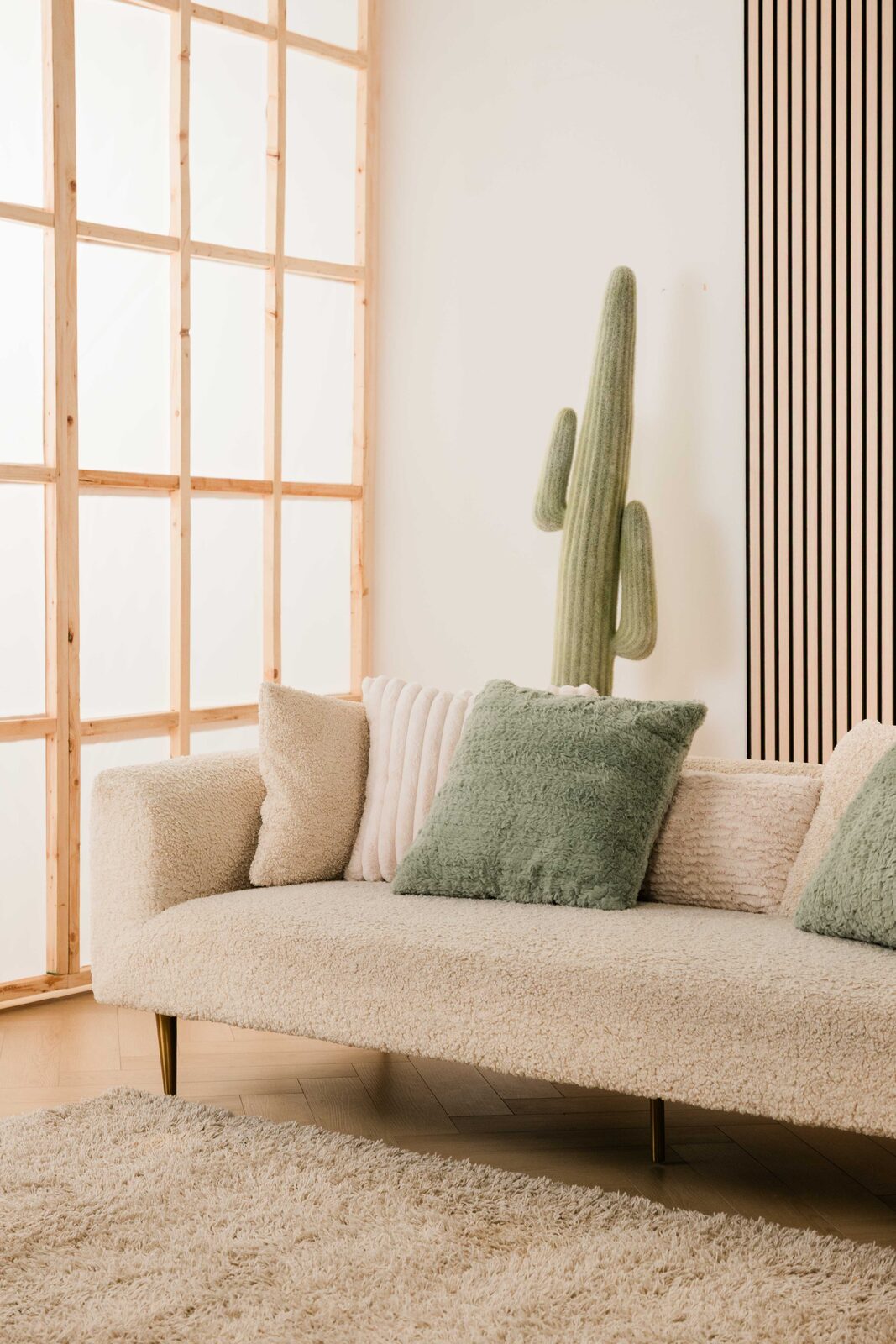 Sunwash Studio — cactus and pillows