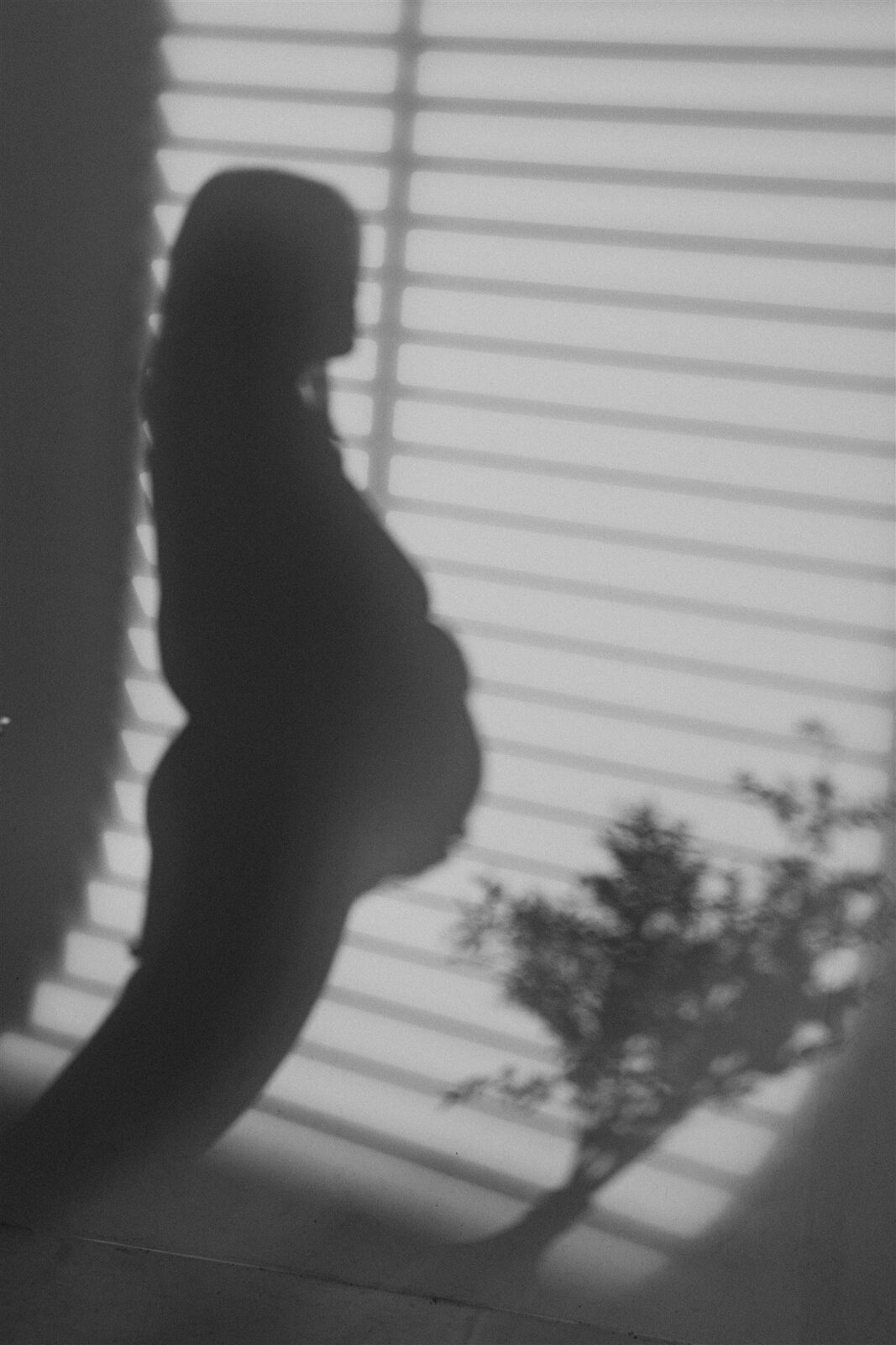 Studio configuration 4